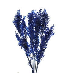 Droogbl Bewerkt H% 70cm