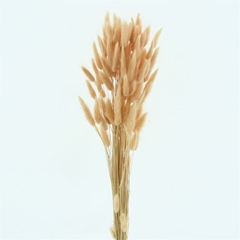 Droogbl Bewerkt H% 60cm 60gram