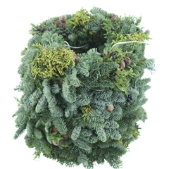 Nobilis-krans 21%