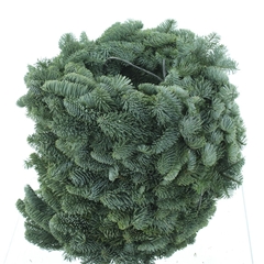 Nobilis-krans 21%