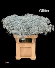 Gyps Colortreated 80cm