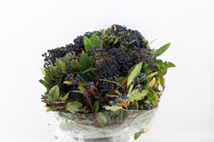 Viburnum Met Bes Bunch 55cm