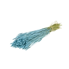 Siergr Ov Klb H% 55cm 200gram