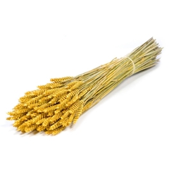Siergr Ov Klb H% 55cm 240gram