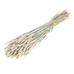 Siergr Ov Klb H% 55cm 200gram