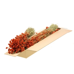 Siergr Ov Klb H% 55cm 220gram