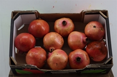Sier Punica Granatum 50gram