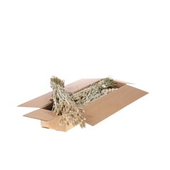 Siergr Ov Klb H% 55cm 255gram
