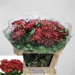 Chr G Ankara Red 80cm 140gram