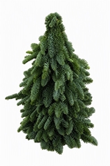 Kerst Art Ov 50cm