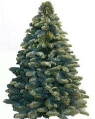 Kerst Art Ov 60cm