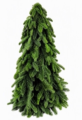 Kerst Art Ov 120cm