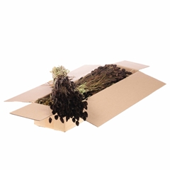 Siergr Ov Klb H% 55cm 220gram