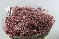 Gyps Colortreated 80cm 40gram