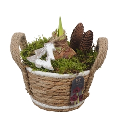 Arr Kerst