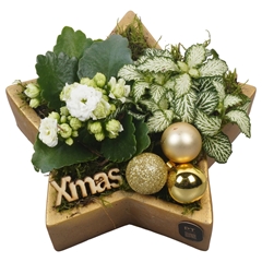 Arr Kerst