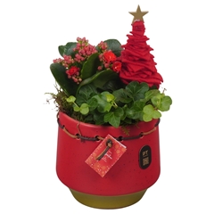 Arr Kerst