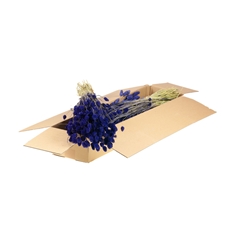 Siergr Ov Klb H% 55cm 220gram