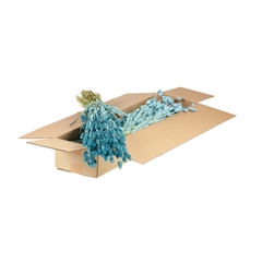 Siergr Ov Klb H% 55cm 255gram