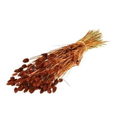 Siergr Ov Klb H% 55cm 200gram