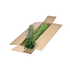 Siergr Ov Klb H% 55cm 240gram