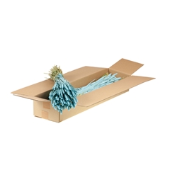 Siergr Ov Klb H% 55cm 200gram