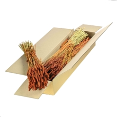 Siergr Ov Klb H% 55cm 240gram