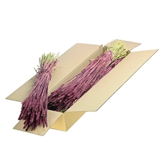 Siergr Ov Klb H% 55cm 240gram