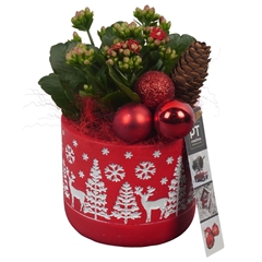 Arr Kerst