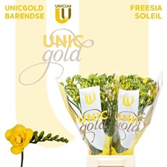 Fr Du Soleil 52cm 20gram 23