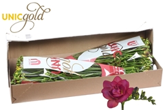 Fr Du Expression 52cm 26gram 13
