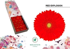 Ge Gr Red Explosion 45cm 10cm Ø