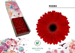 Ge Gr Rodeo 45cm 10cm Ø