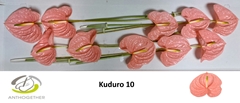 Anth A Kuduro 15cm Ø