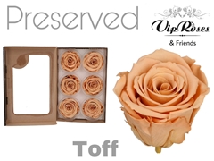 R Preserved Toff