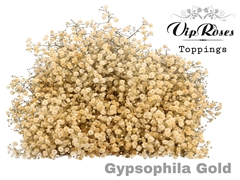 Gyps Pa Gold