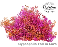 Gyps Pa Fall In Love