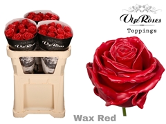 R Gr Wax Red X30 998