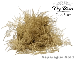 Asp Ov Getopt Lang Gold