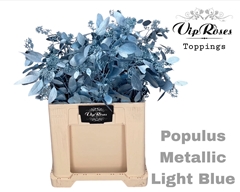 Euca Populus Bes Metallic Light Blue