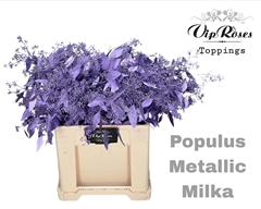 Euca Populus Bes Metallic Milka
