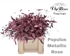 Euca Populus Bes Metallic Rose