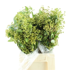Decogroen Ov Bs 60cm 200gram