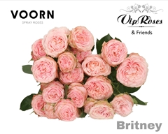 R Tr Britney