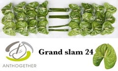 Anth A Grand Slam 11cm Ø