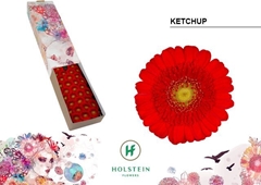 Germini Ketchup 45cm 7cm Ø