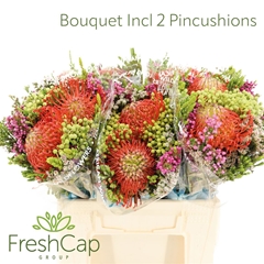Kaaps Groe Gem In Bs 40cm