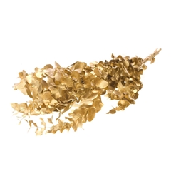 Euca Globu Klb 21% 60cm