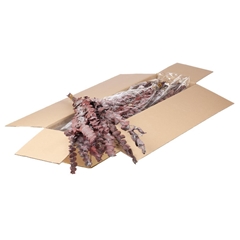 Euca Globu Klb 21% 55cm