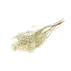 Dried Flowers 100 Gram 60cm 20gram